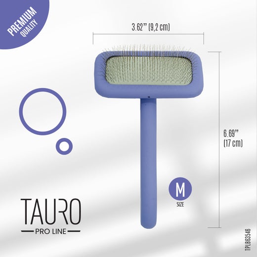 Tauro puinen karsta