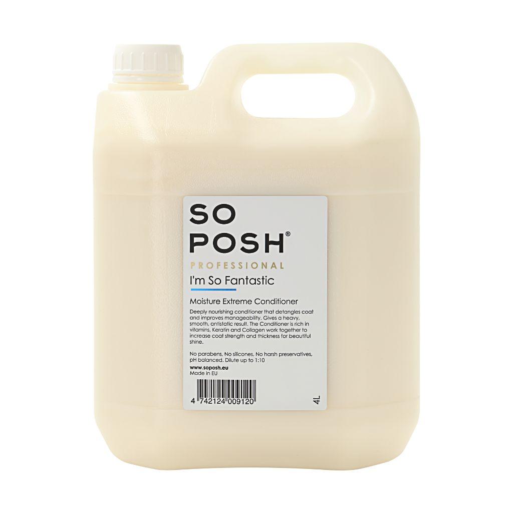 So Posh I'm So Fantastic Hoitoaine
