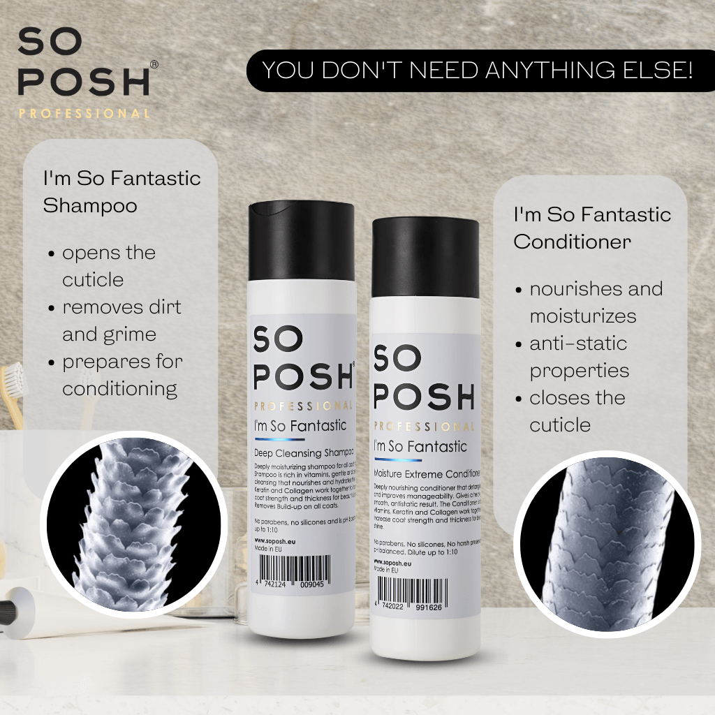 So Posh I'm So Fantastic Shampoo