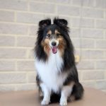 PXL_20250609_070946001.PORTRAIT