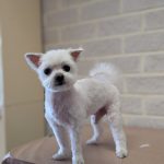 PXL_20250609_102052517.PORTRAIT