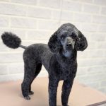 PXL_20250609_143803765.PORTRAIT