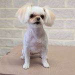 PXL_20250610_132148080.PORTRAIT