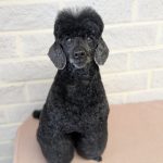 PXL_20250626_094009444.PORTRAIT