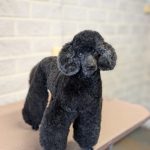 PXL_20250626_103607568.PORTRAIT