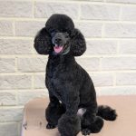 PXL_20250626_155050117