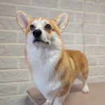 PXL_20251019_080805788