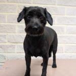 PXL_20251109_093846082