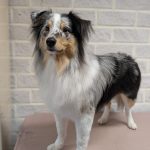 PXL_20251110_115830724