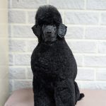 PXL_20251204_091559371