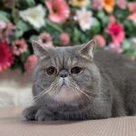 PXL_20260123_092647825