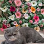 PXL_20260123_092710477