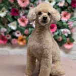 PXL_20260127_175724734