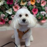 PXL_20260128_083133198