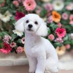 PXL_20260202_134234463