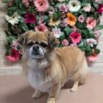 PXL_20260203_135545076