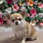 PXL_20260203_164828039