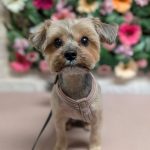 PXL_20260203_184326299