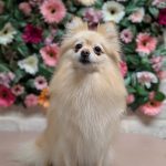 PXL_20260204_151458249