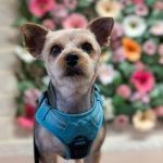 PXL_20260205_123130958