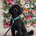 PXL_20260205_141343680